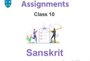 assignment class 10 quadratic equation Class 10 Sanskrit Assignments