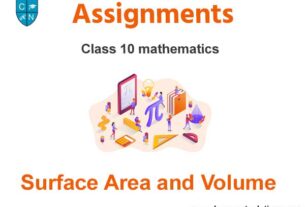assignment class 10 quadratic equation Class 10 Mathematics Surface Area and Volume Assignments