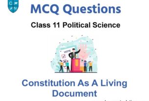 MCQ Class 11 Political Science Chapter 9 Constitution as a Living Document